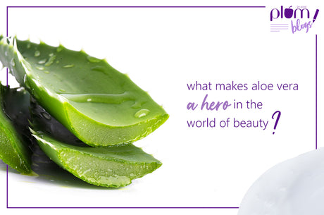 Benefits of aloe vera in the world of beauty