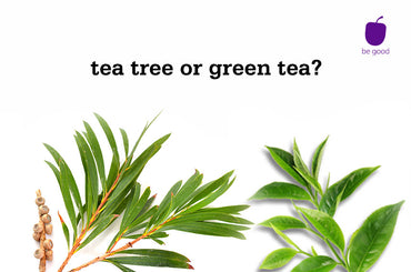 Which is better - tea tree or green tea?