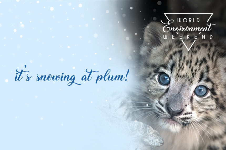 It's world environment weekend at plum!