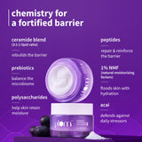 CeraSense™ Moisturizing Cream with Ceramides & Peptides
