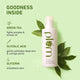 Green Tea Alcohol-Free Toner  | Shrinks Pores & Gives Even-Tone Skin | 100% Vegan