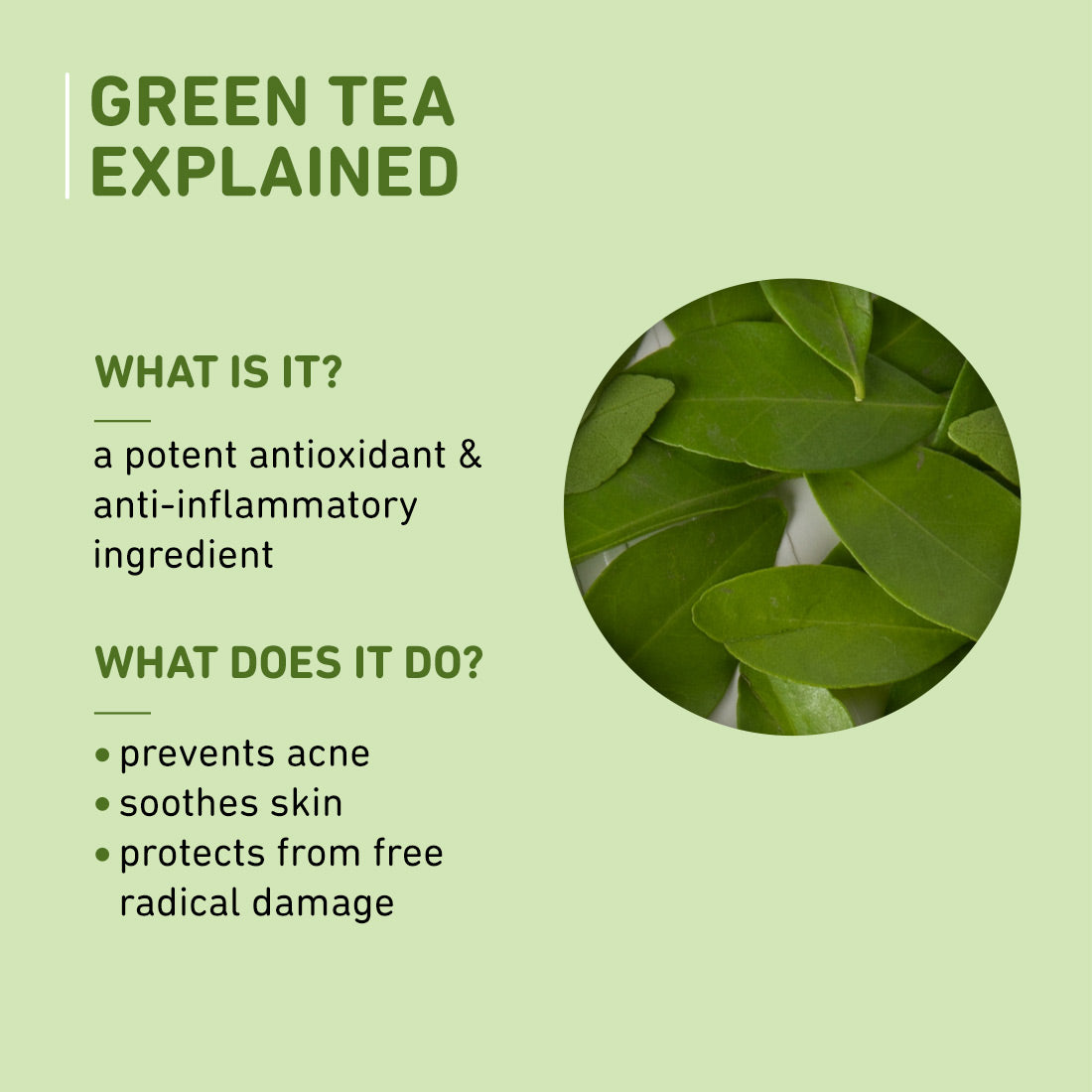 Green Tea Renewed Clarity Night Gel For Oily & Acne-Prone Skin