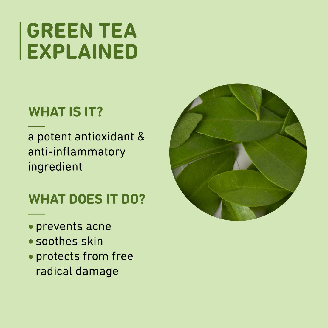 Green Tea Alcohol-Free Face Toner