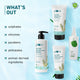 Tea Tree Dandruff Control Combo | Shampoo, Conditioner, Scalp Scrub, Scalp Serum| | Treats Dandruff, Reduces Itchiness | Sulphate-Free | 100% Vegan 