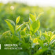 Phy Green Tea Face Wash (15 ml) | Anti-Acne + Oil Control | SLS-Free | For Oily, Acne-Prone Skin